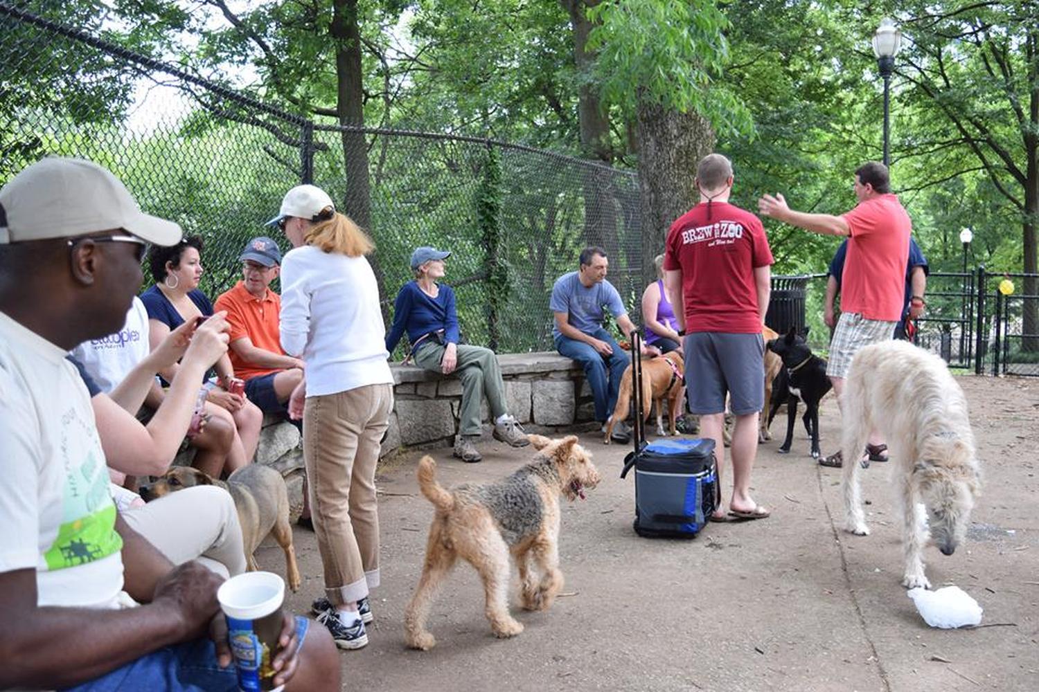 Renaissance Park Dog Park  5