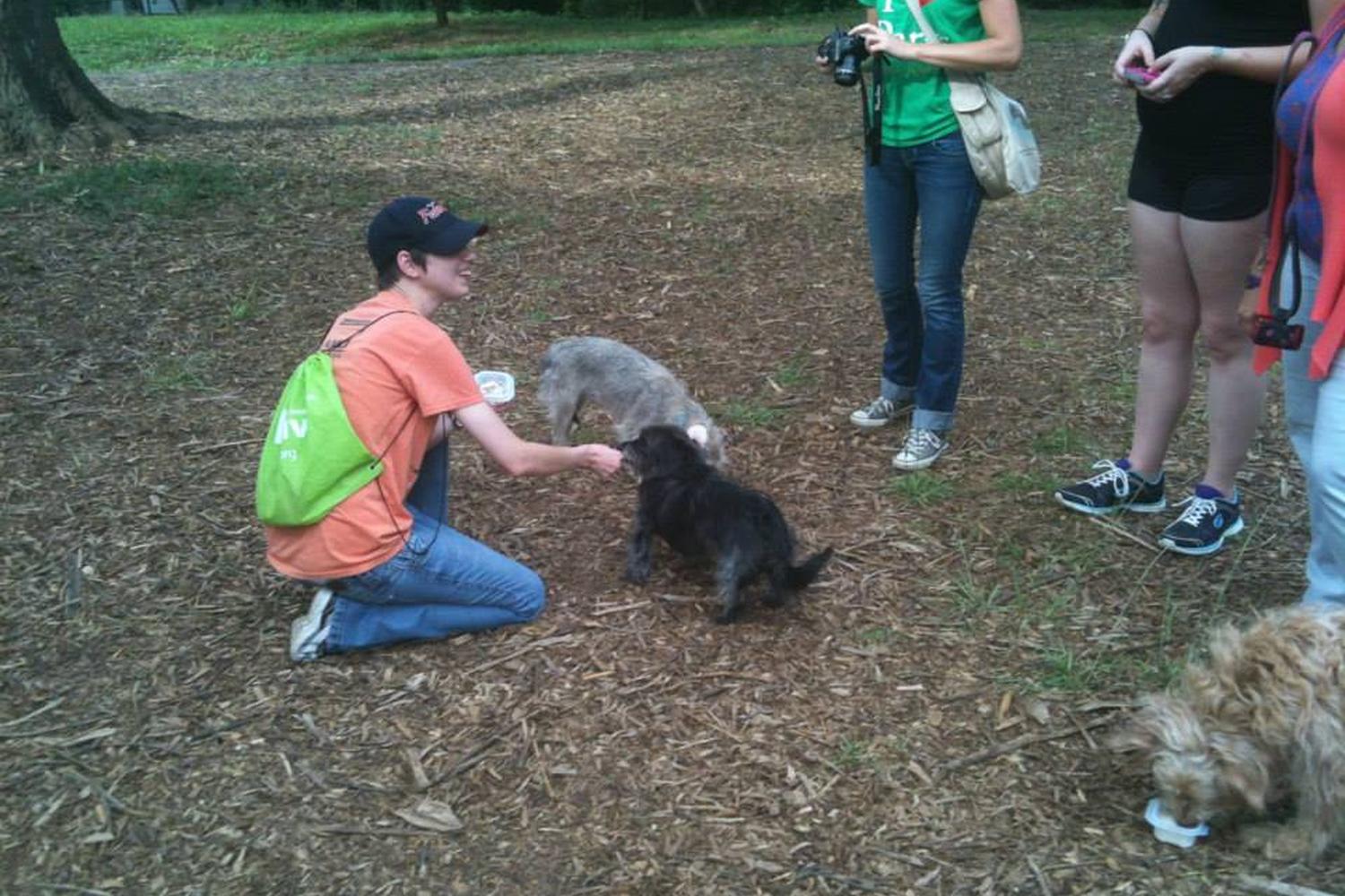 Renaissance Park Dog Park  2