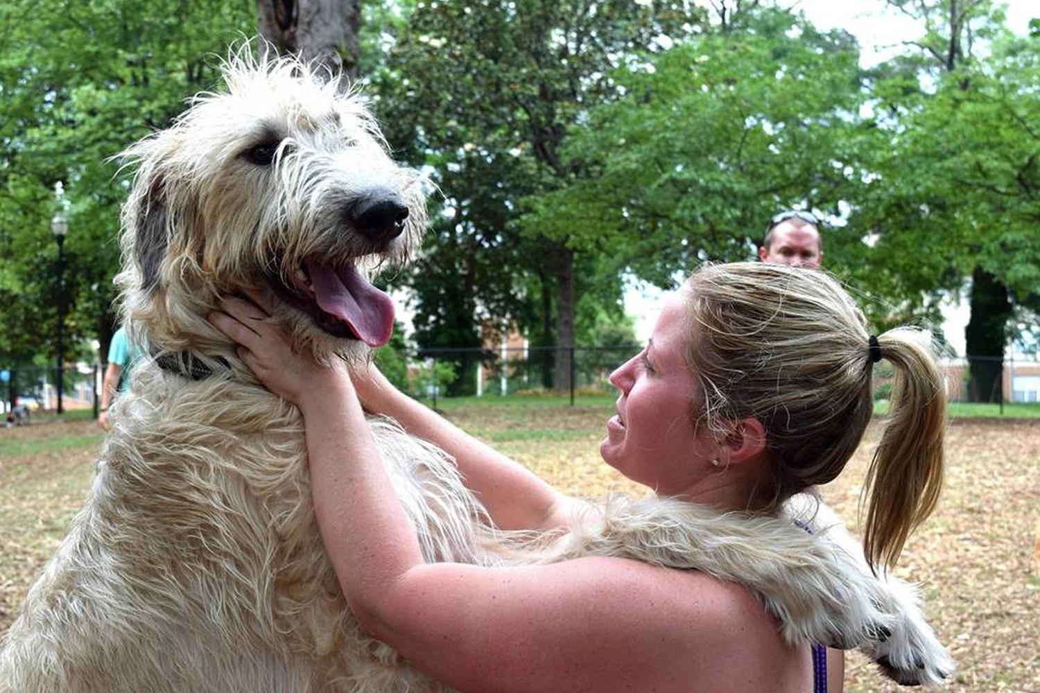 Renaissance Park Dog Park  6