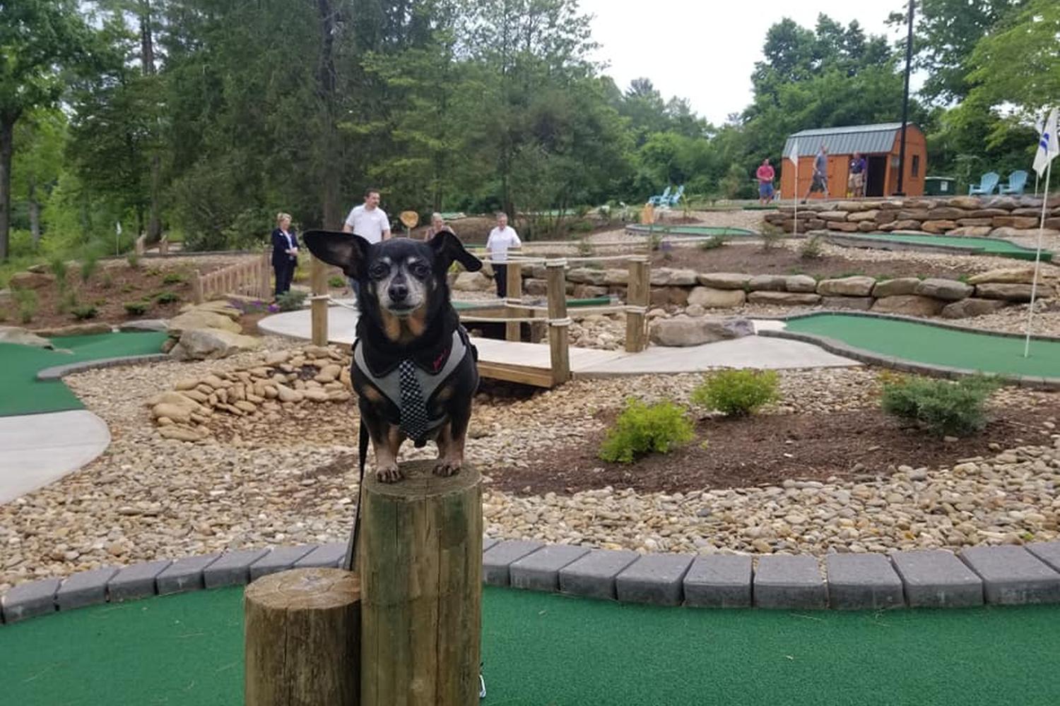 Lakeview Putt & Play 1