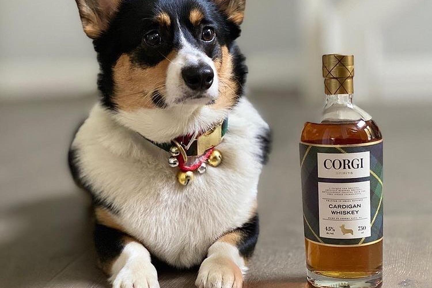 Corgi Spirits at the Jersey City Distillery 5