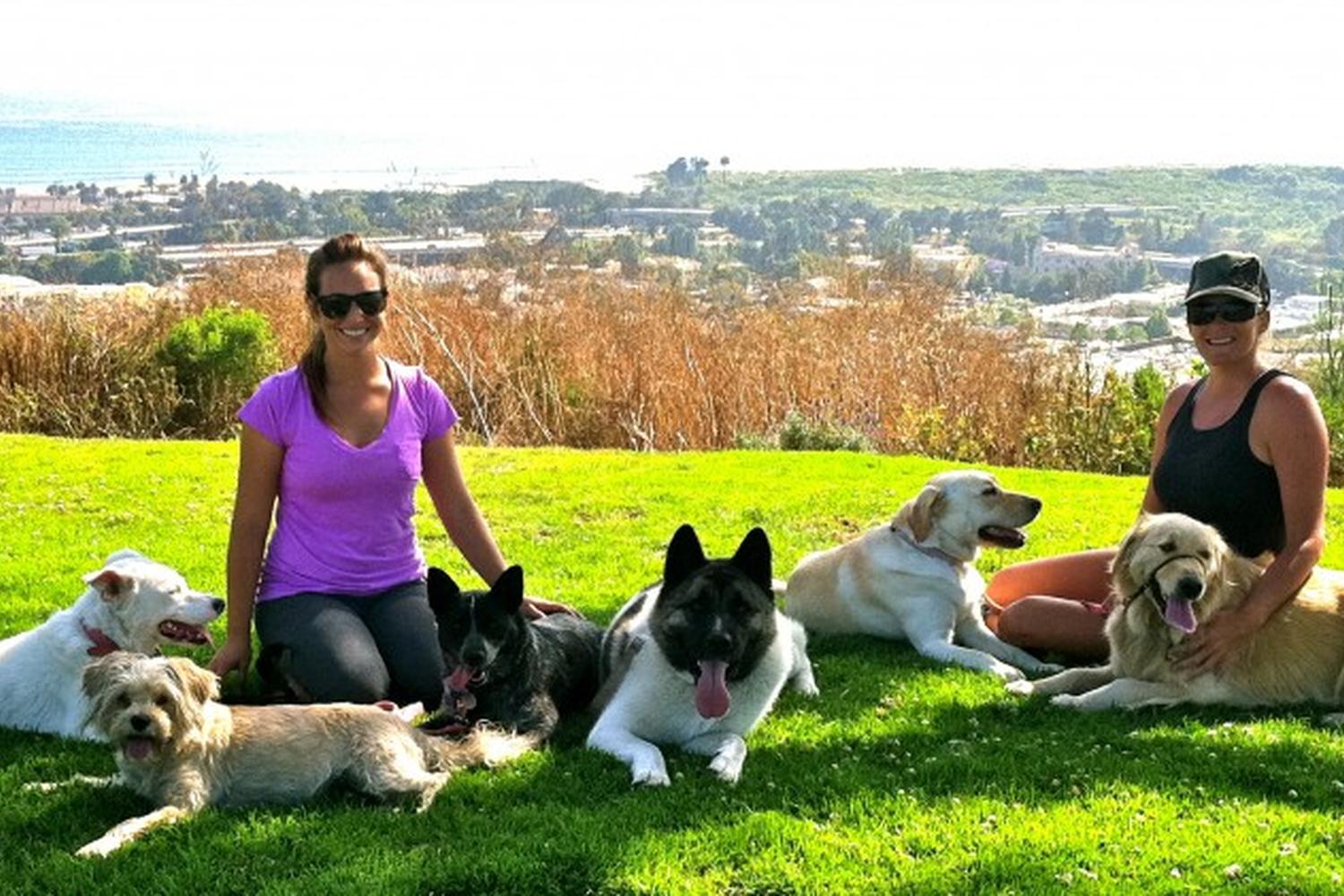 Coastal K9 Dog Walking & Pet Services 0