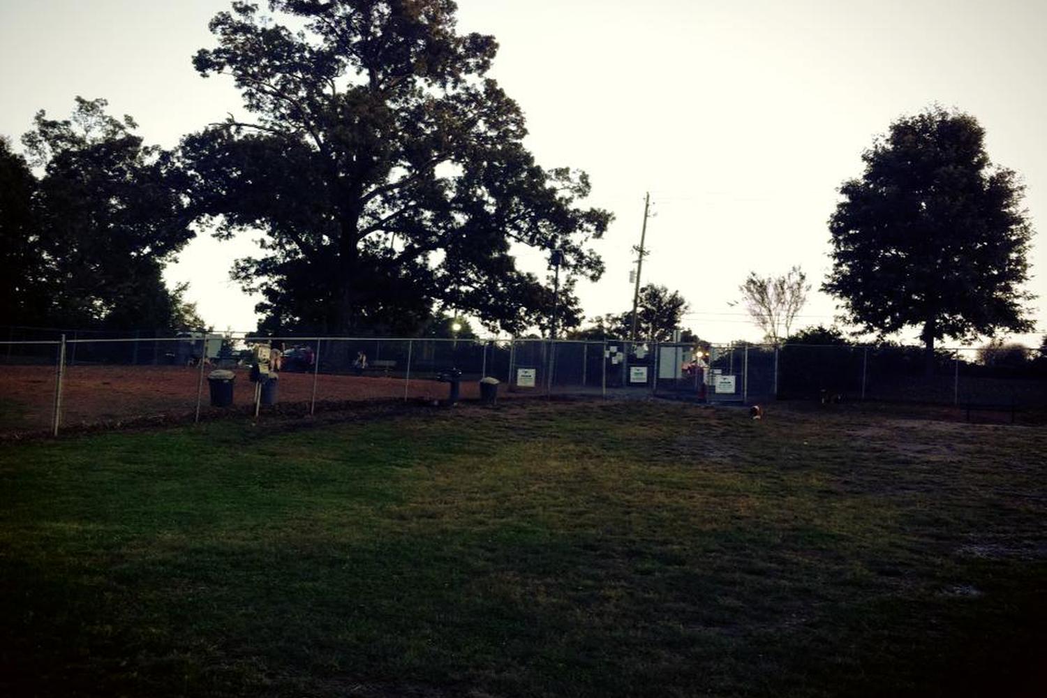 Leita Thompson Memorial Dog Park 5