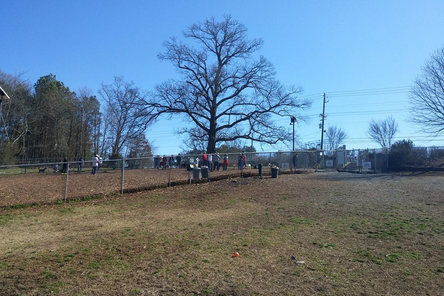 Leita Thompson Memorial Dog Park 3