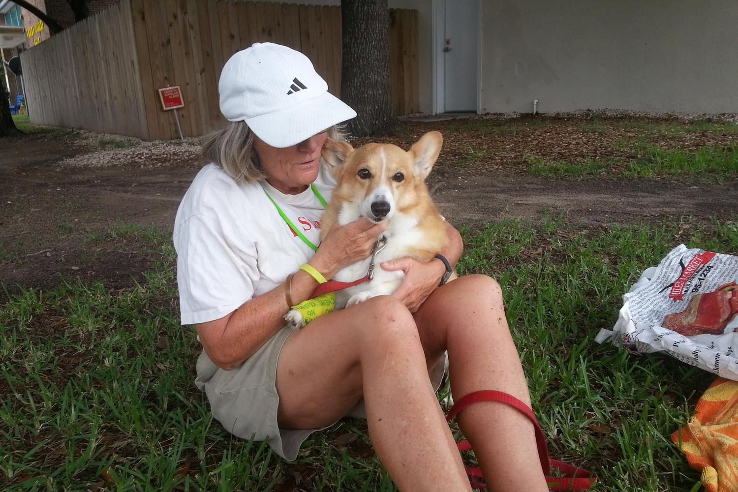Charleston Dog Walker 2