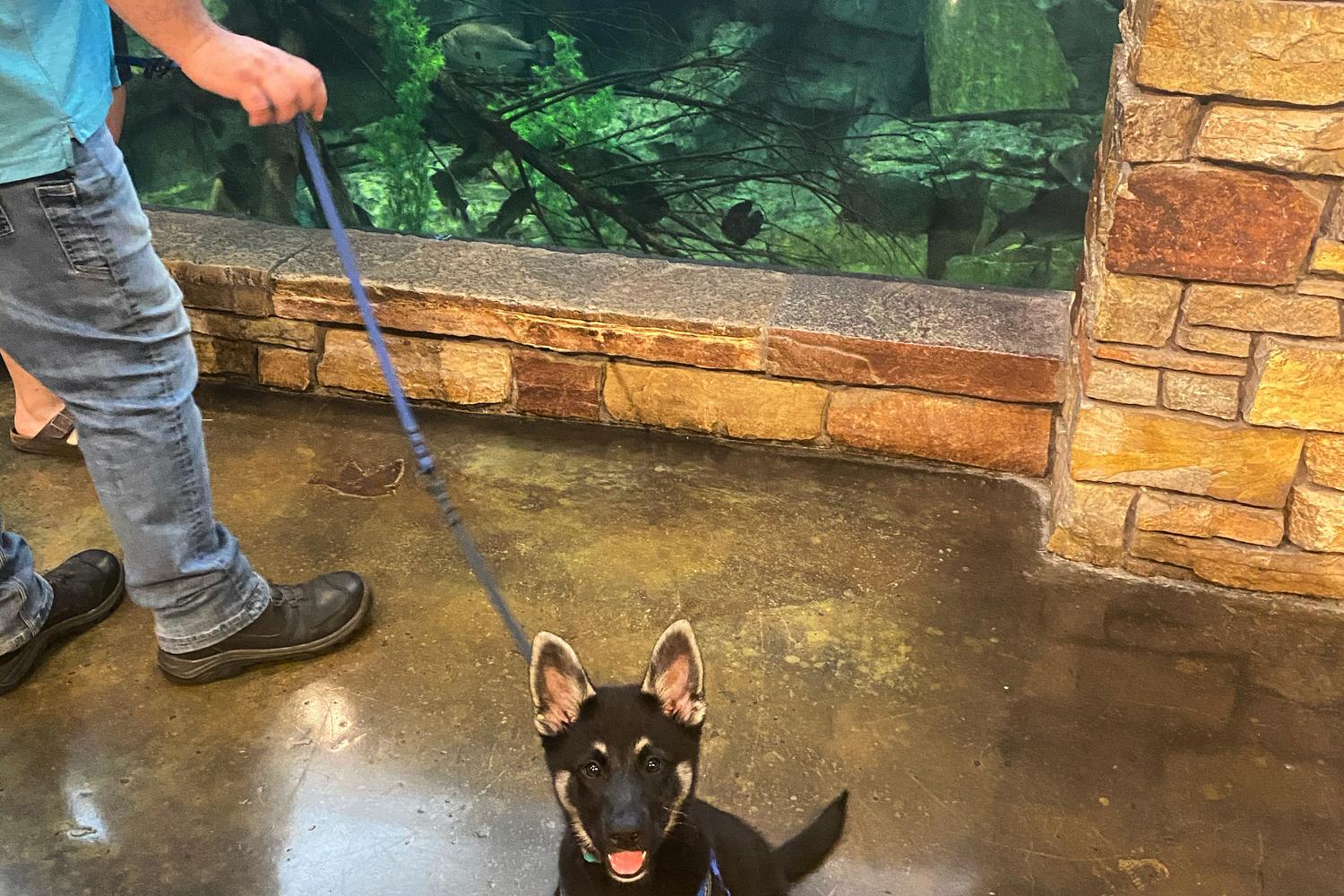 Bass Pro Shops 4