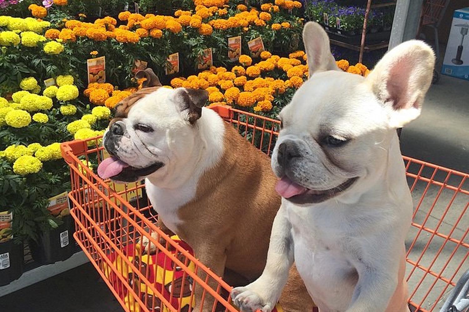 Home Depot 1
