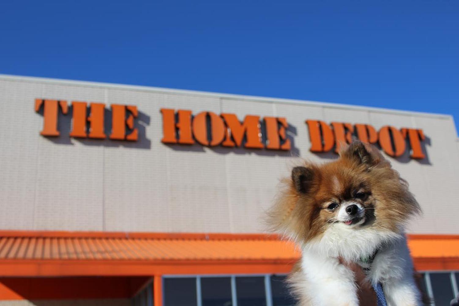 Home Depot 4