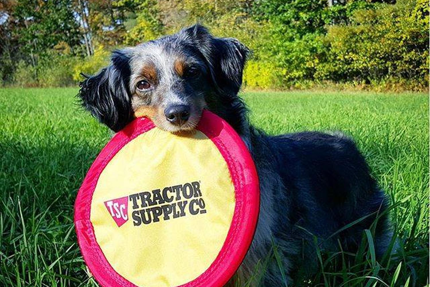 Tractor Supply Co. 2