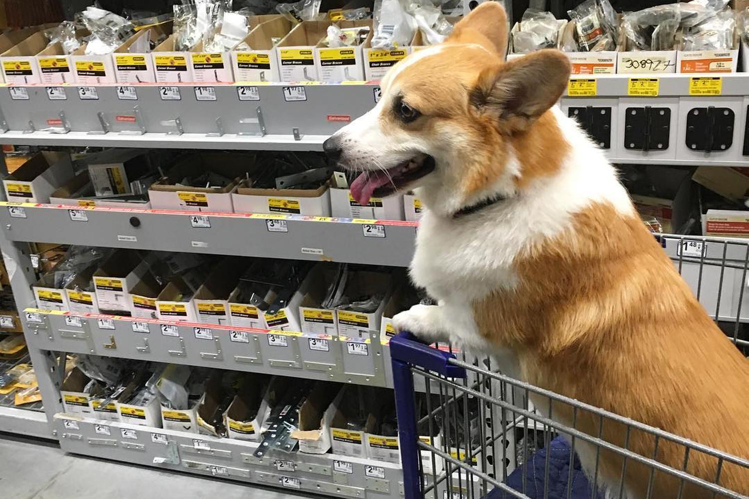 Lowe's 0