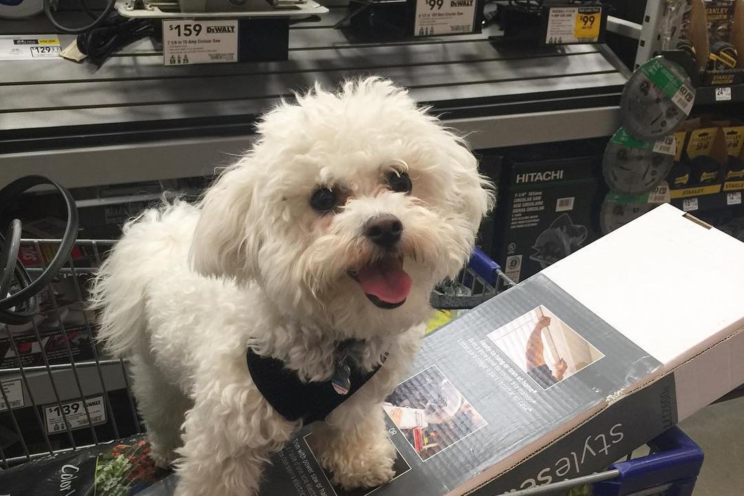 Lowe's 6