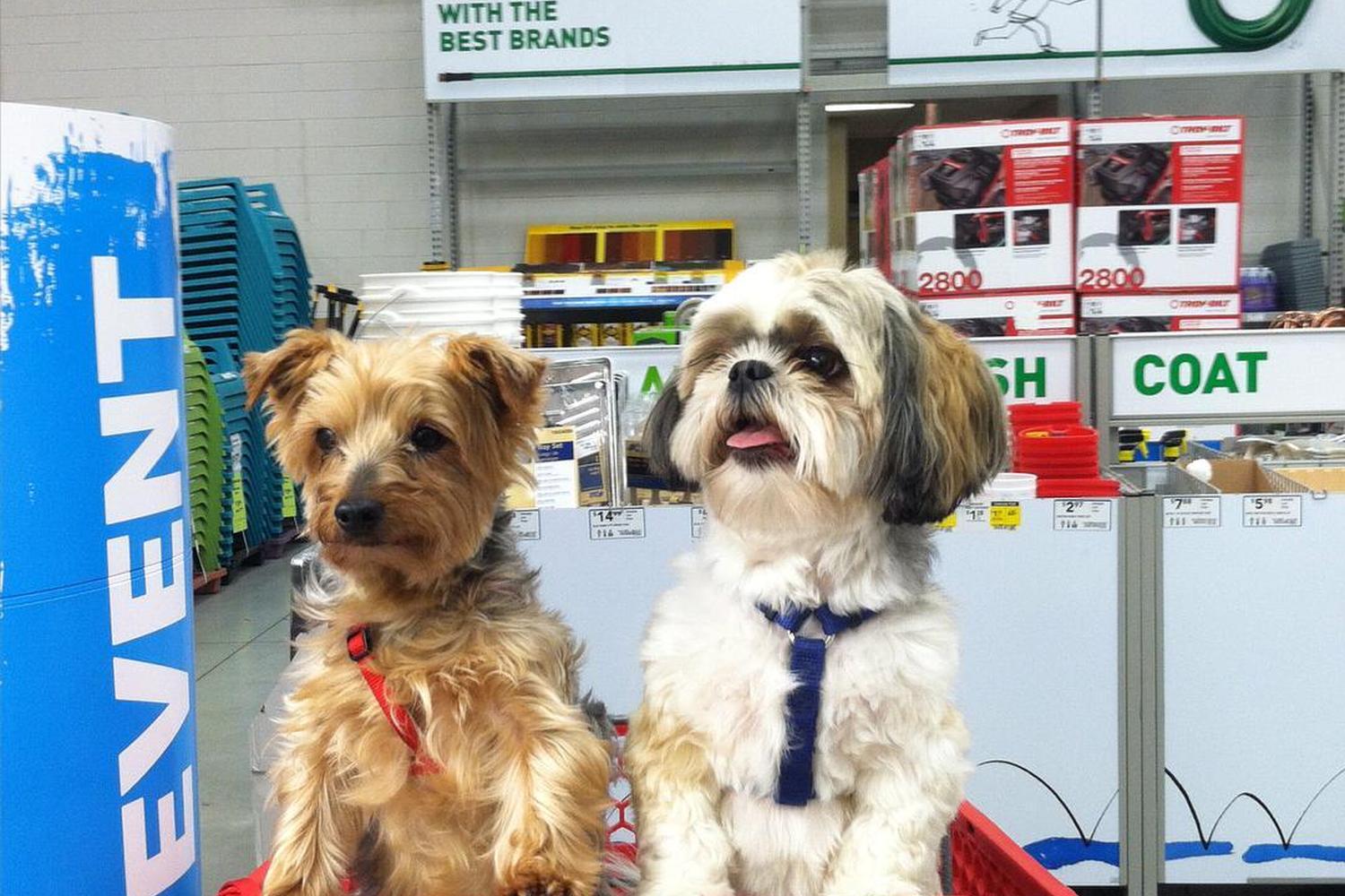 Lowe's 5
