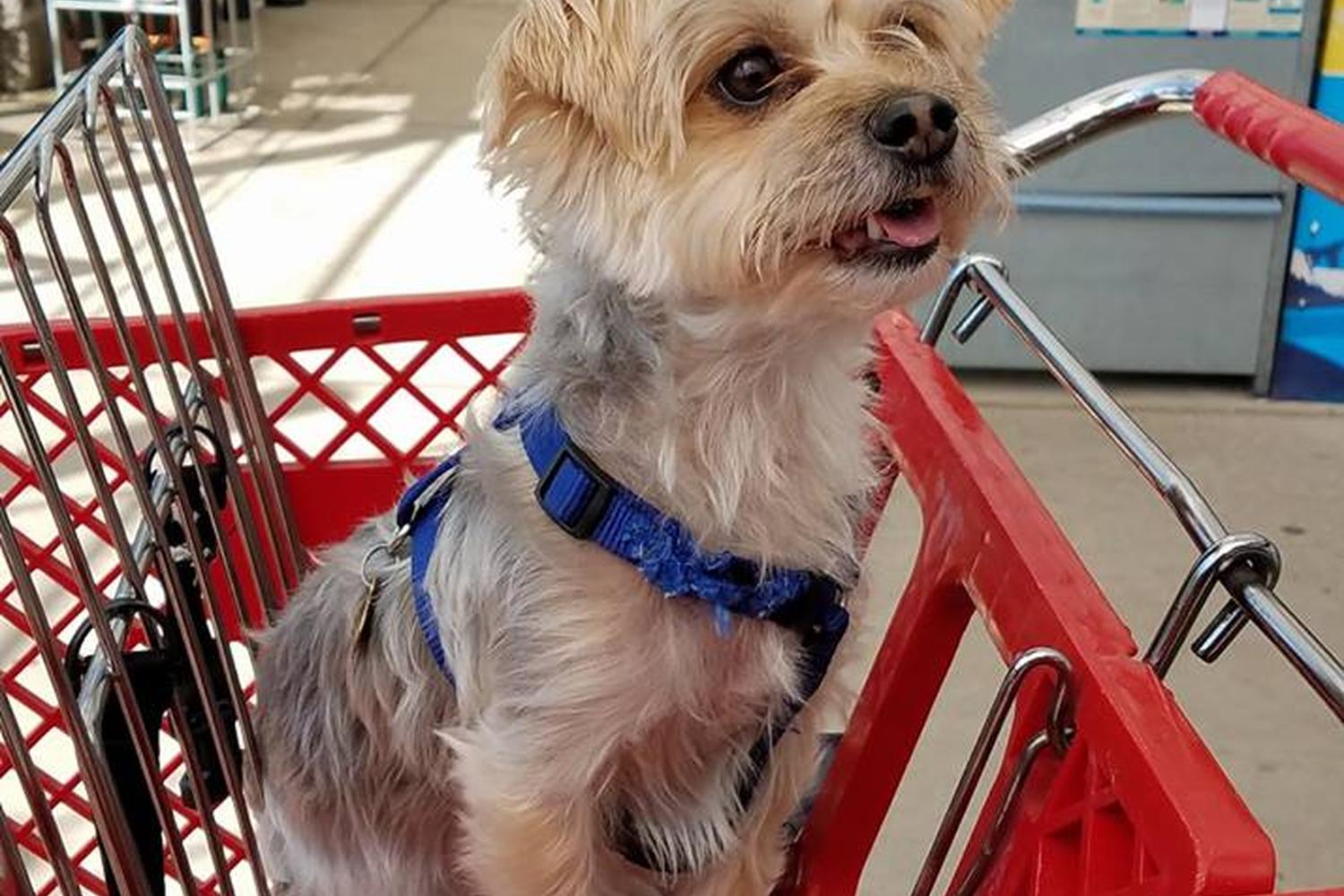 Lowe's Home Improvement 4