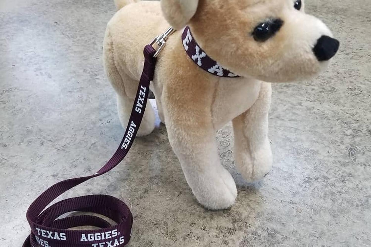 Aggieland Outfitters 2