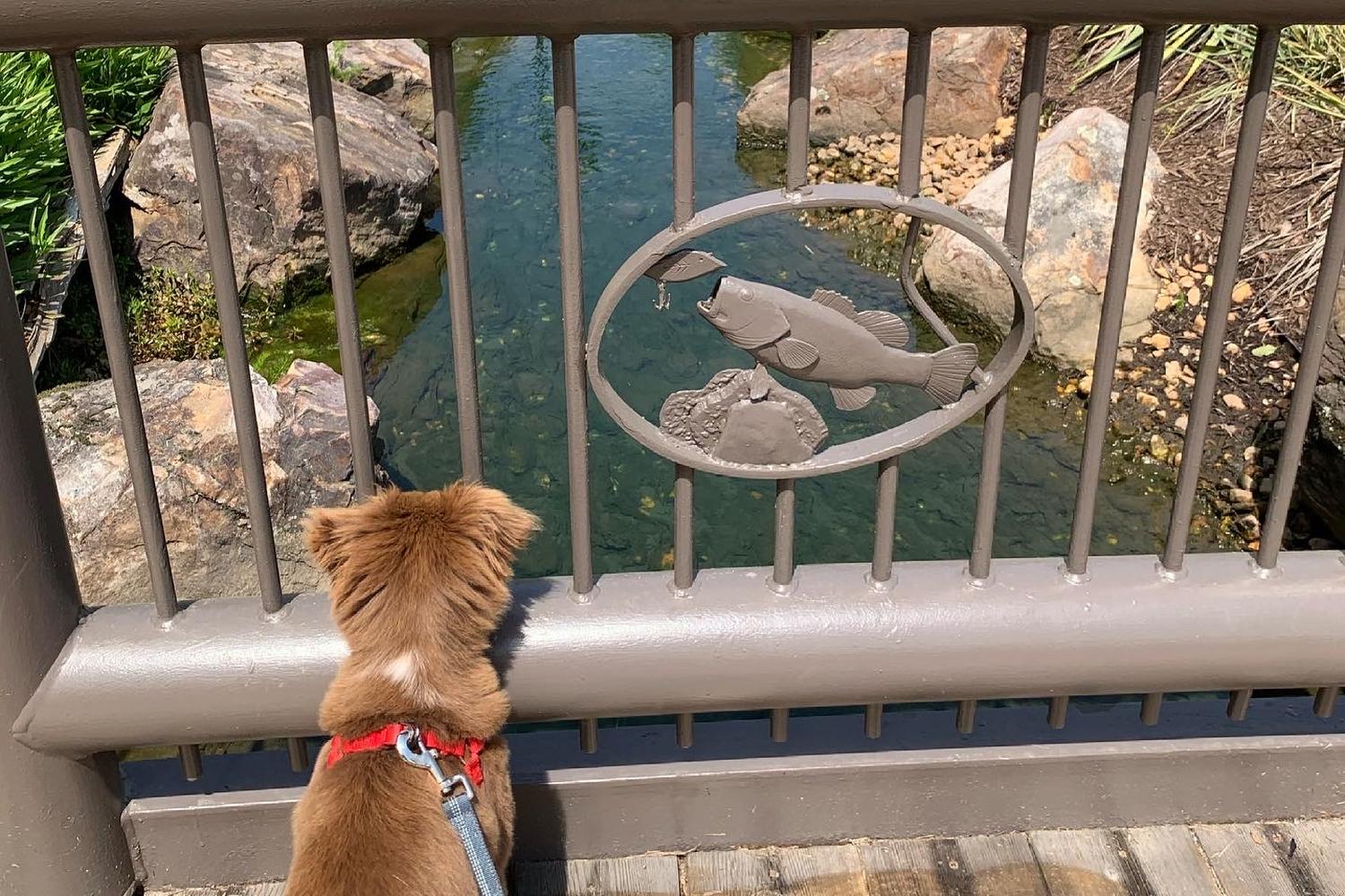 Bass Pro Shops 3