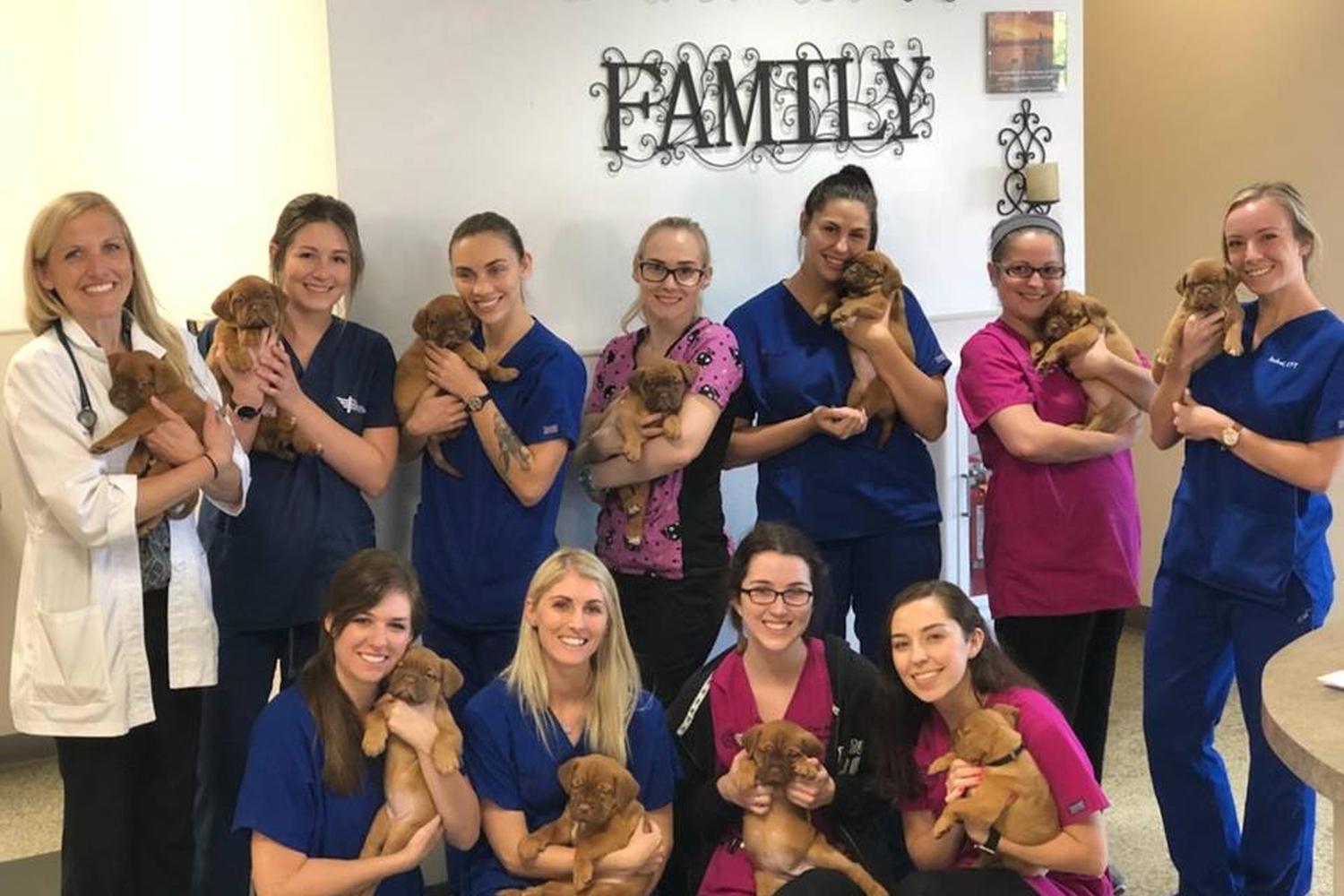 Family VetCare (Chandler) 3