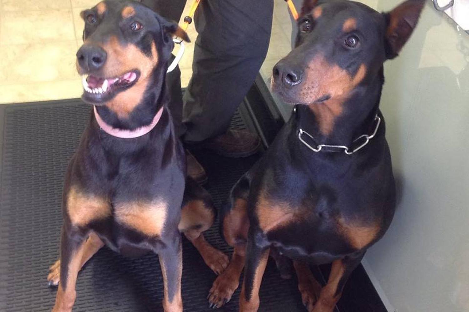 Monroe Animal Care Hospital 6