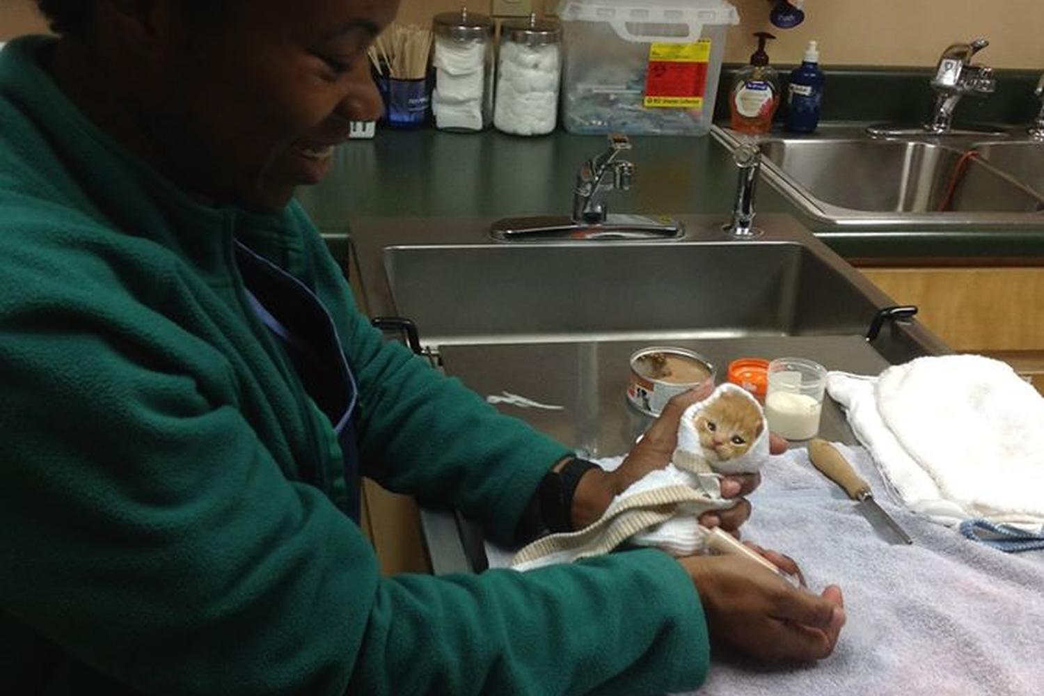 Monroe Animal Care Hospital 4