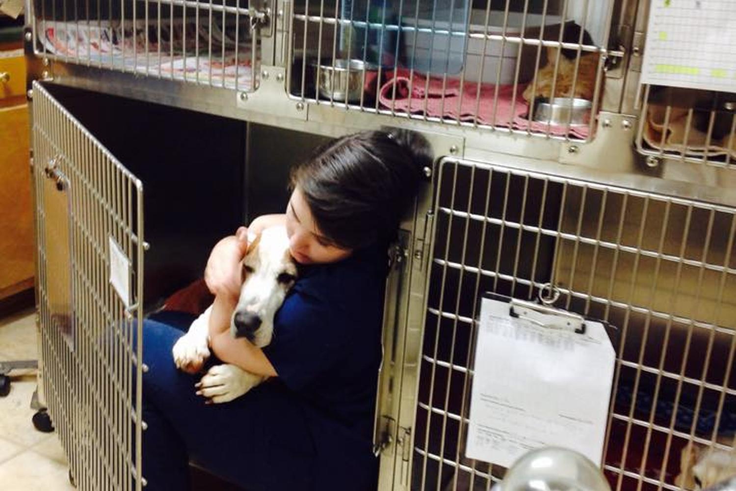 Monroe Animal Care Hospital 7