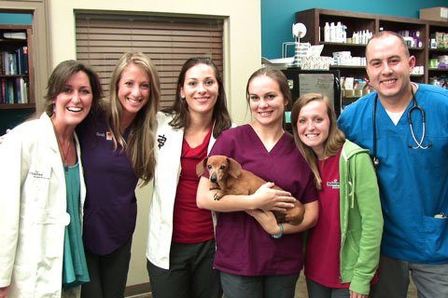 Bottletree Animal Hospital 1