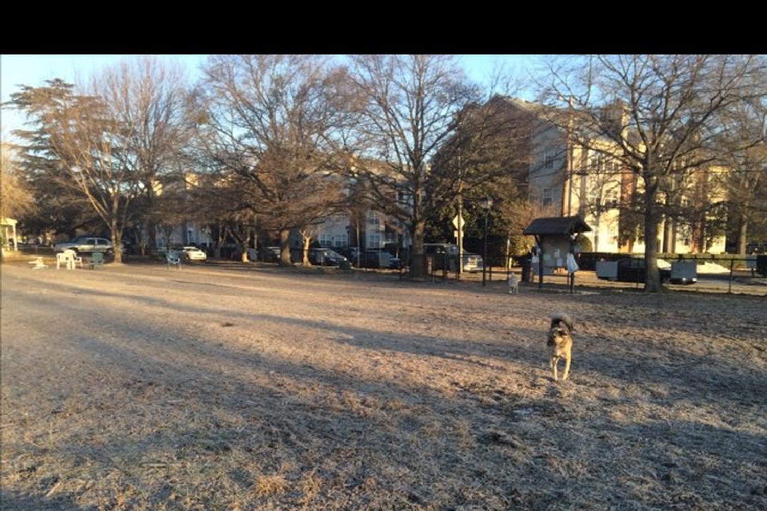 Colonial Greenway Dog Park 0