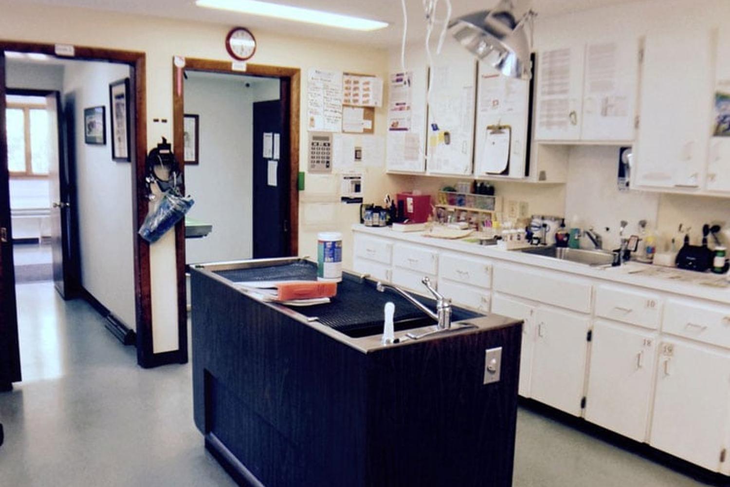 Sharon Veterinary Clinic 5