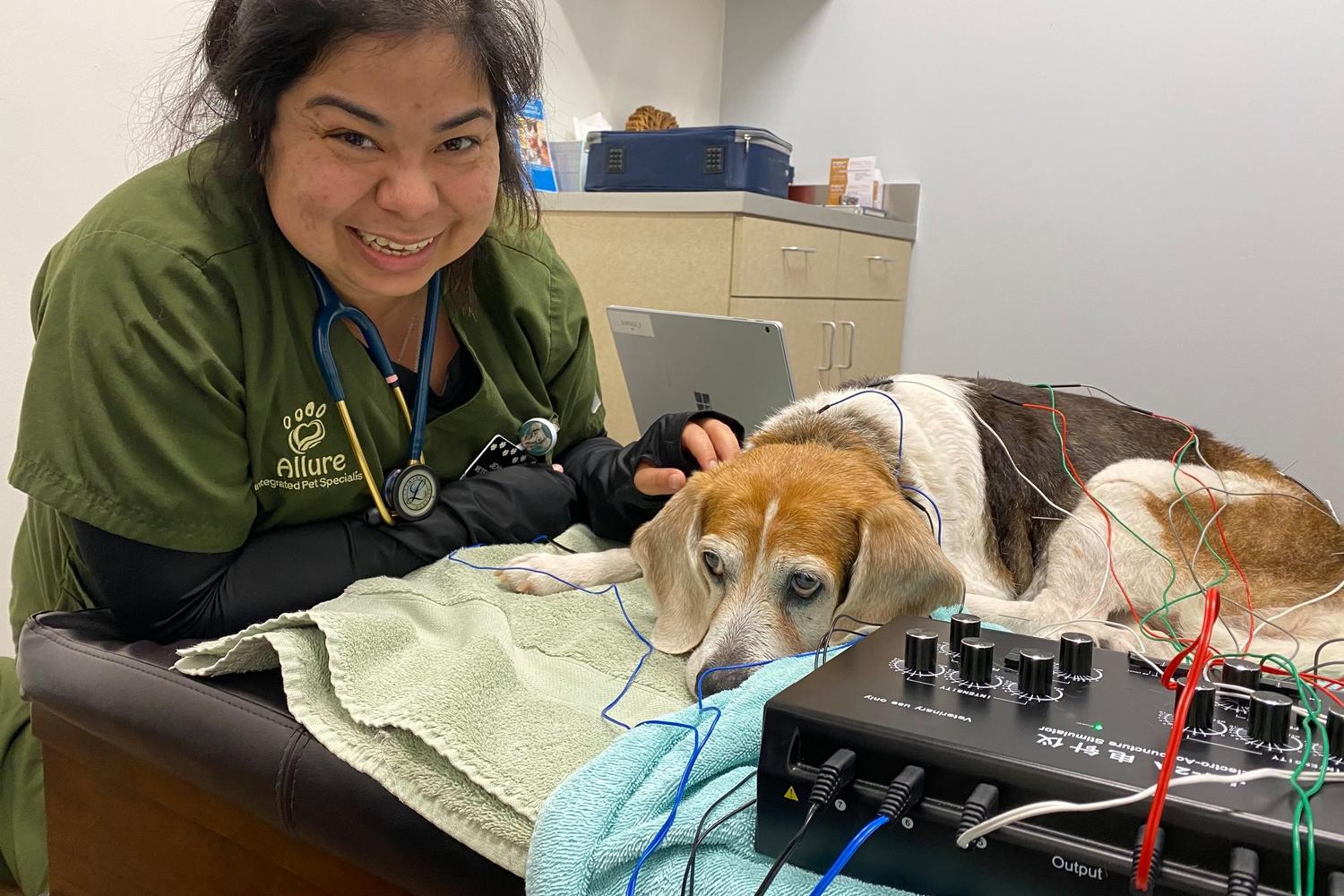 Allure Integrated Pet Specialists 3