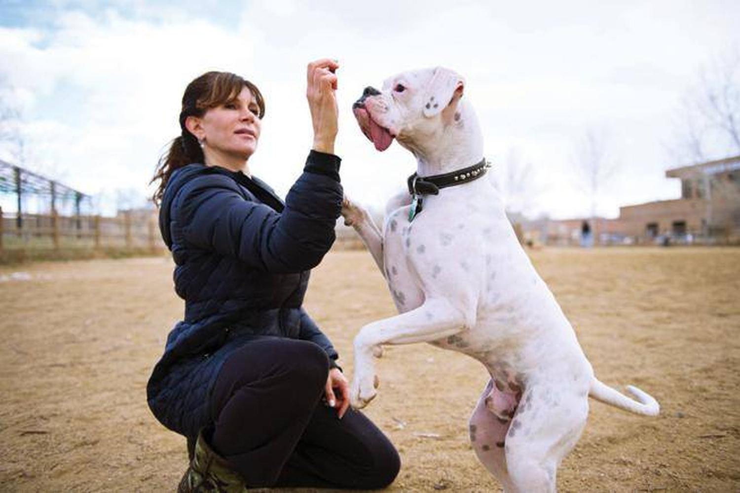 Valmont Dog Park 3