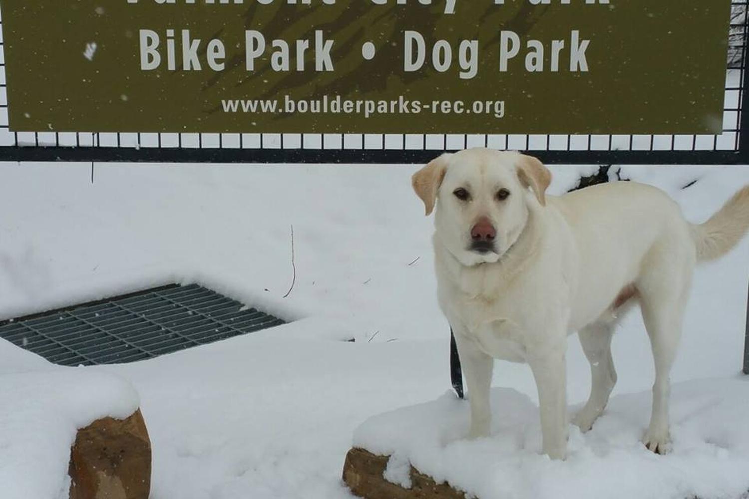Valmont Dog Park 1