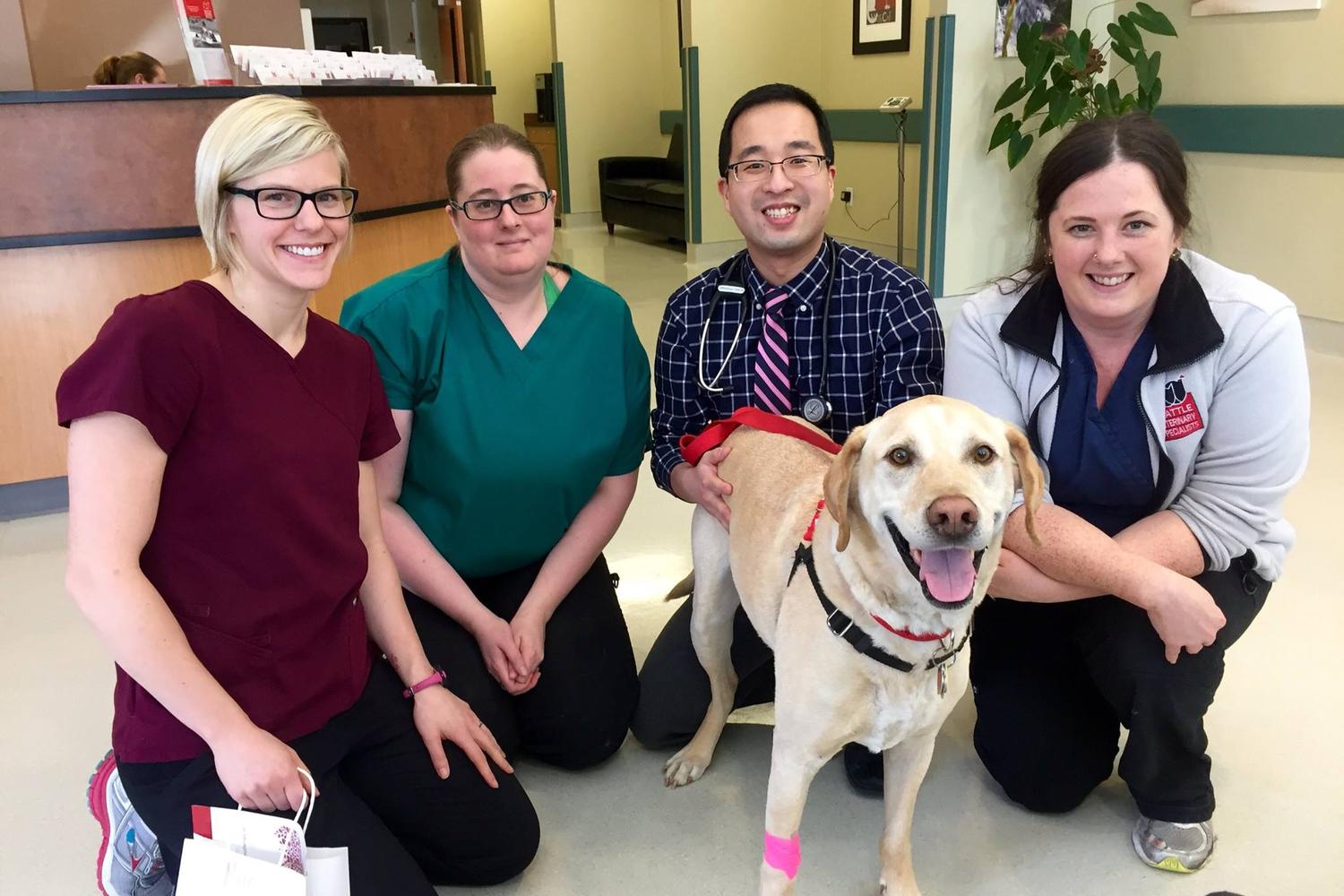 Seattle Veterinary Specialists 0