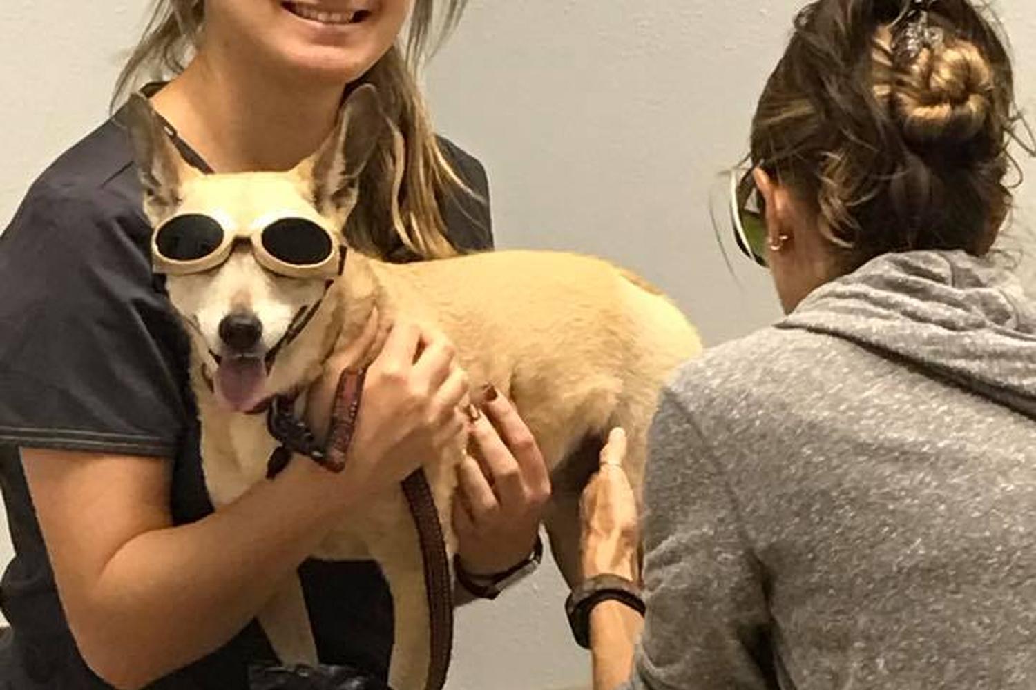 Sunshine Animal Hospital 5