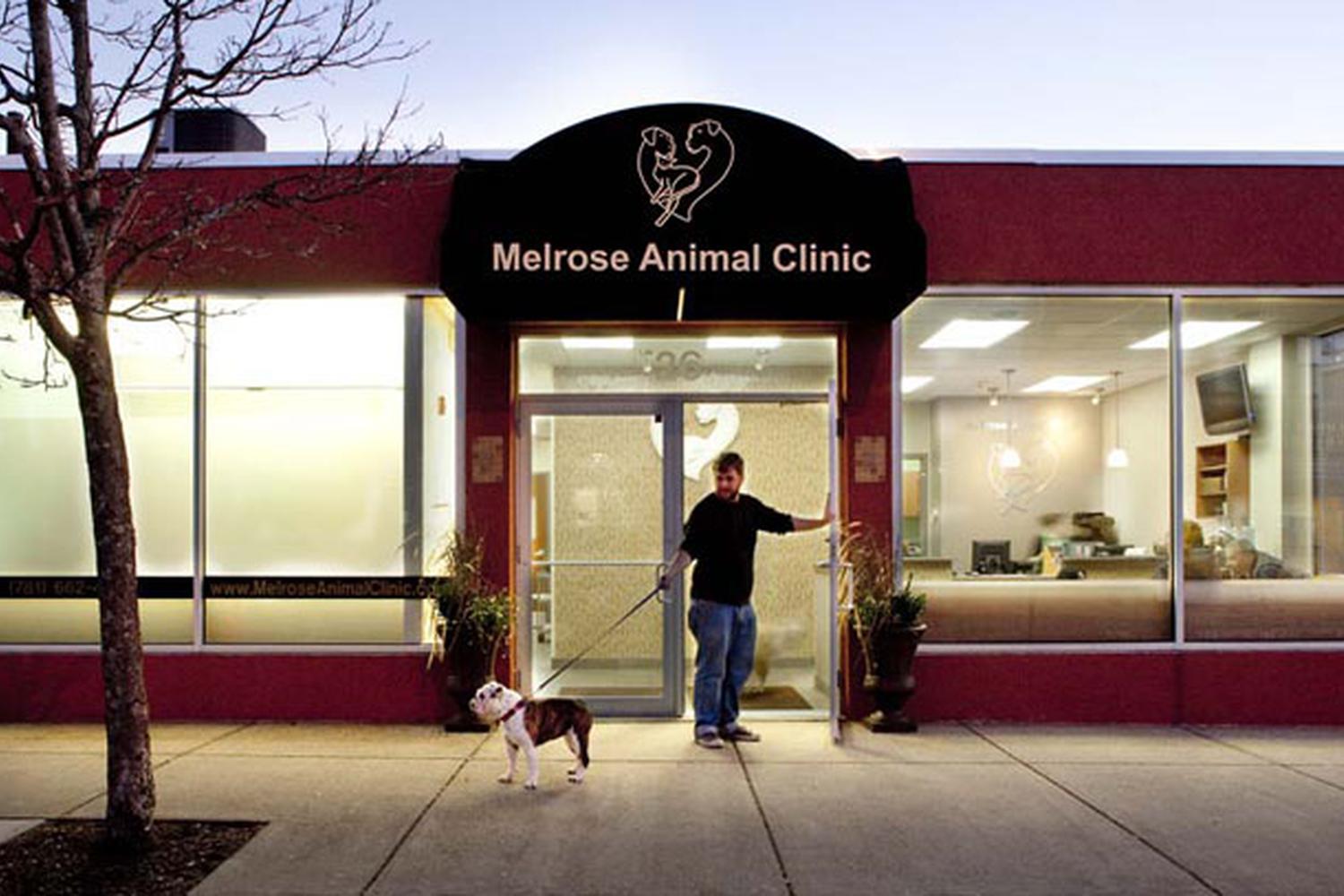 Melrose Animal Clinic 0