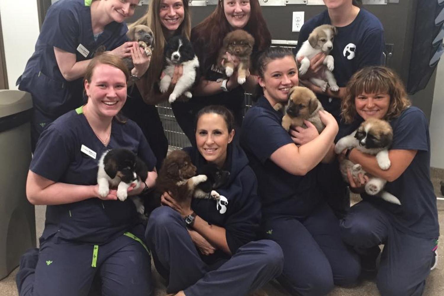 Mission Animal Hospital 2