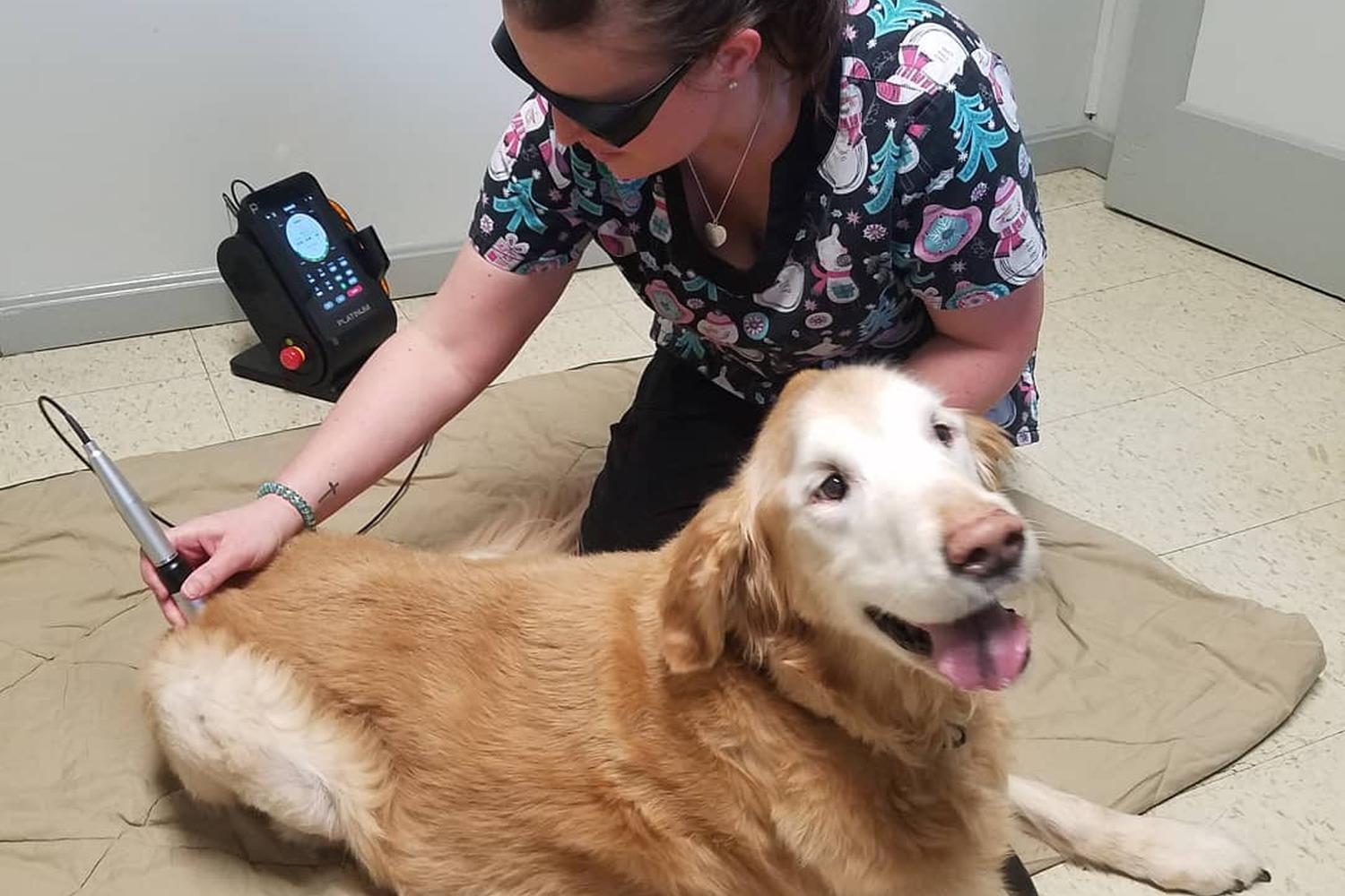 North Madison Veterinary Clinic 1