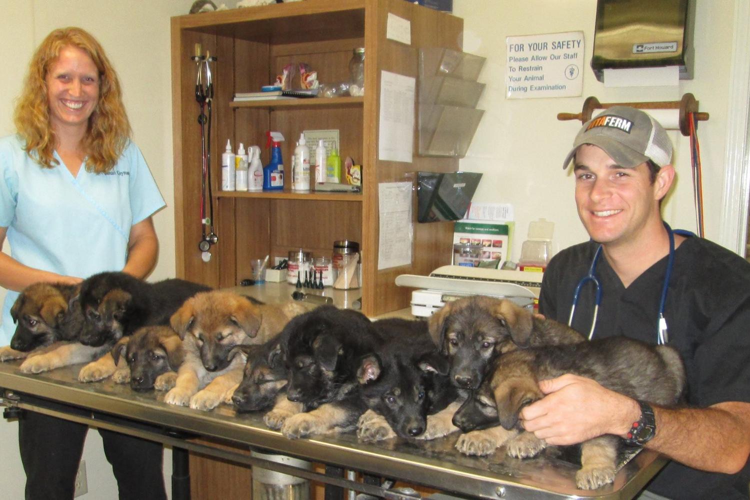 North Madison Veterinary Clinic 2