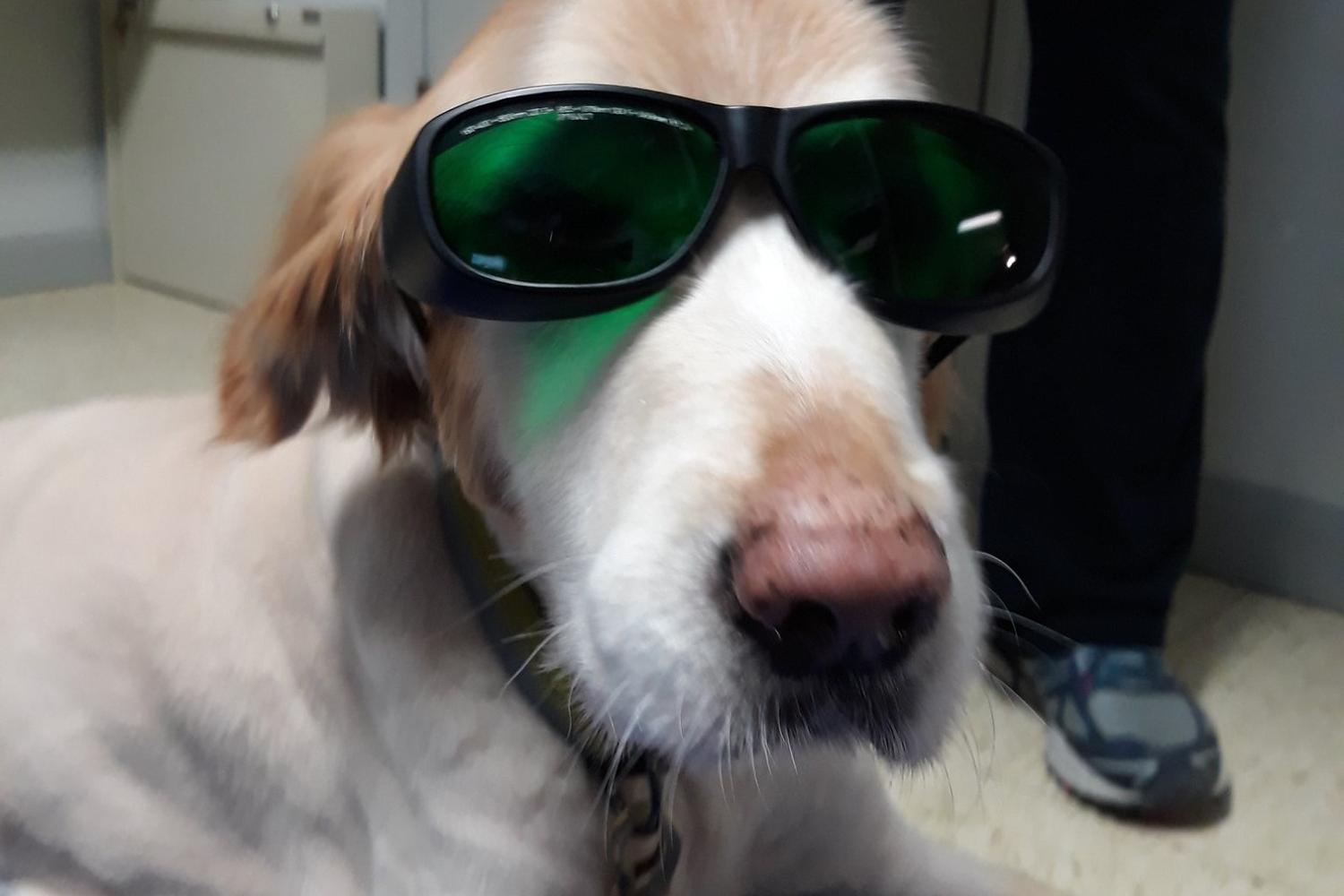 North Madison Veterinary Clinic 0