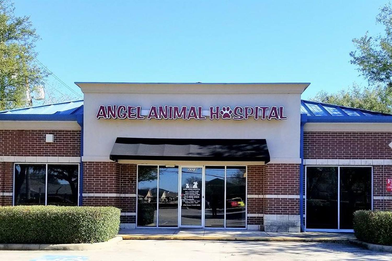 Angel Animal Hospital 2