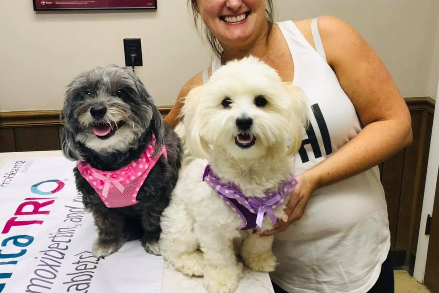 Bellshire Family Vet 0