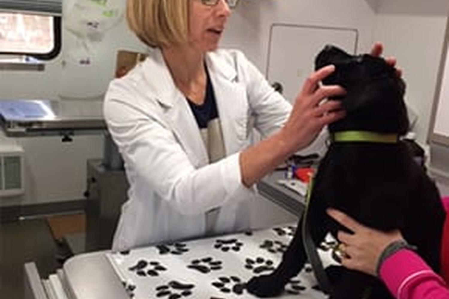 PetVets On The Go 5