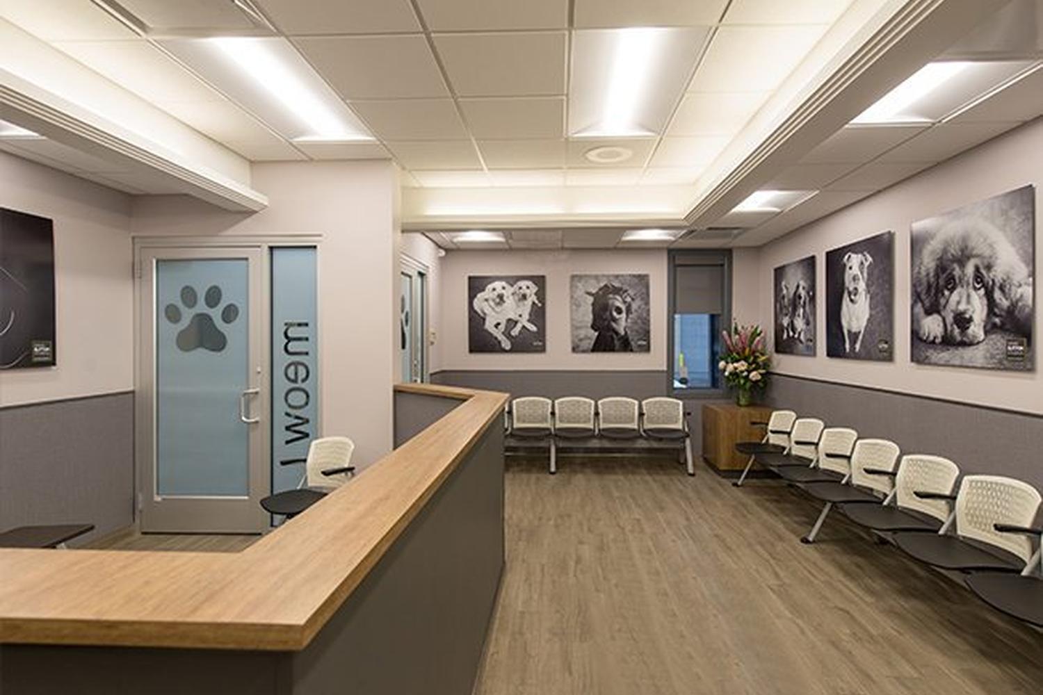 Blum Animal Hospital 4