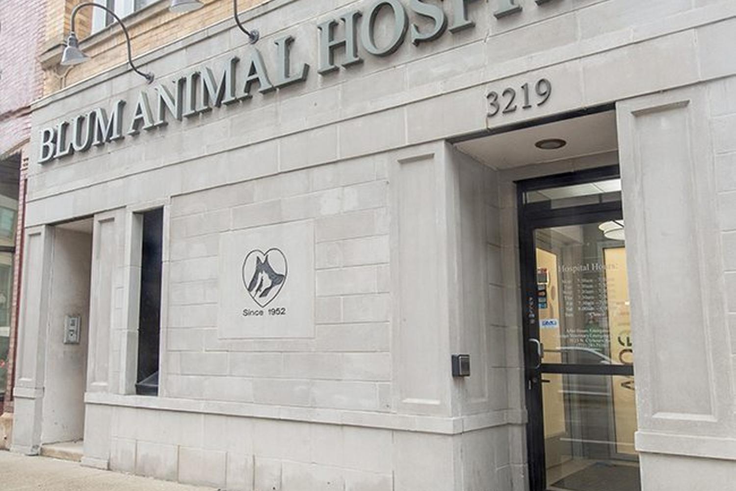 Blum Animal Hospital 3