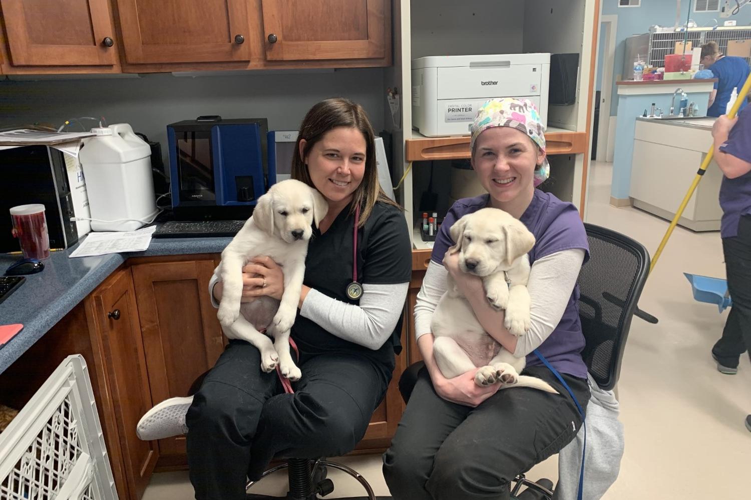 Bargersville Veterinary Hospital & Wellness Center 4