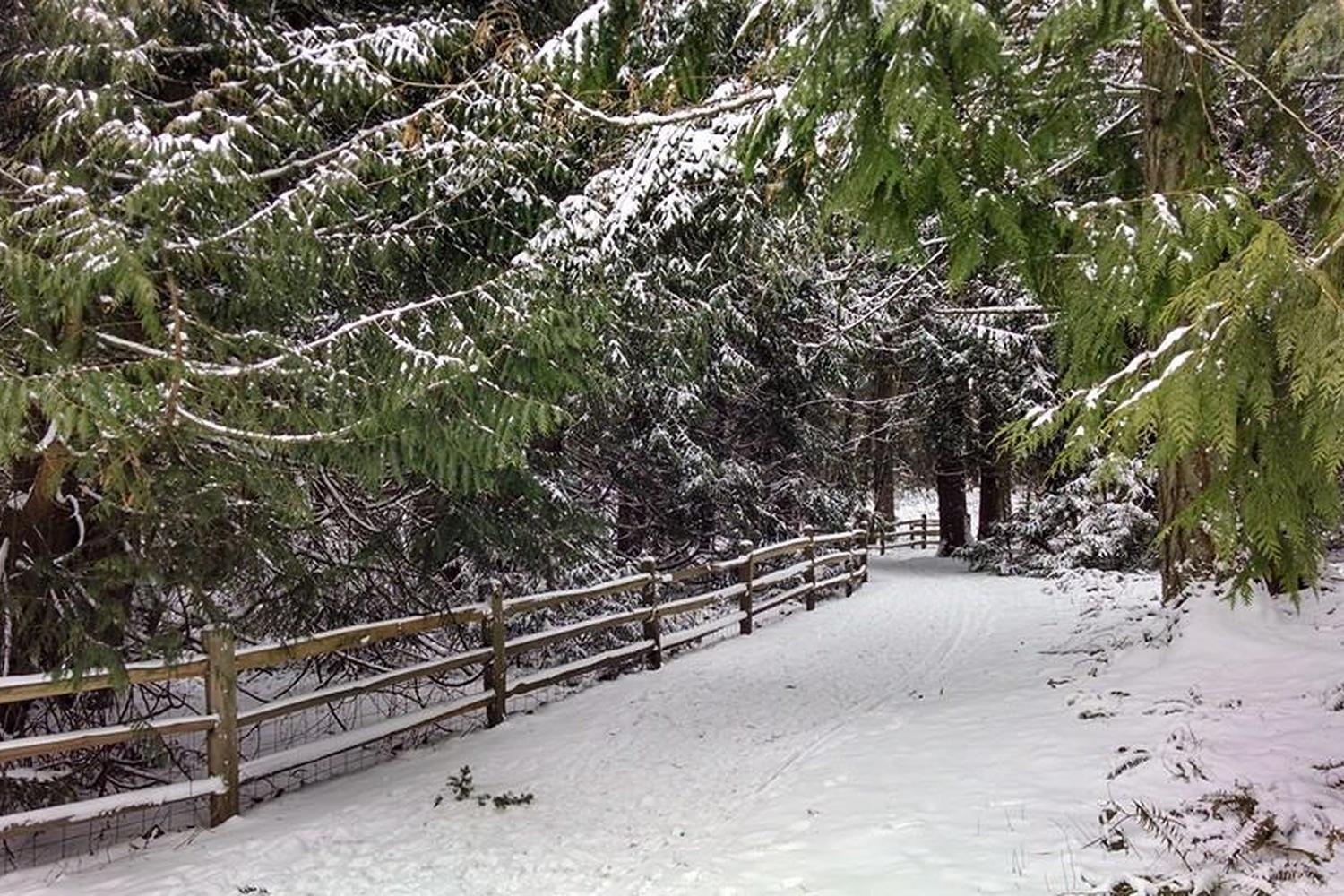 Gabriel Park 2