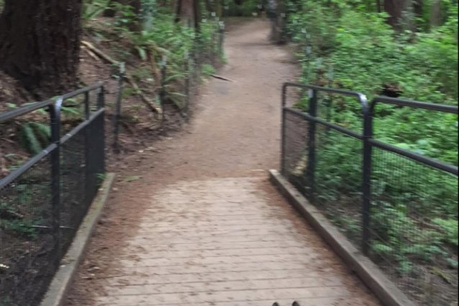 Gabriel Park 7