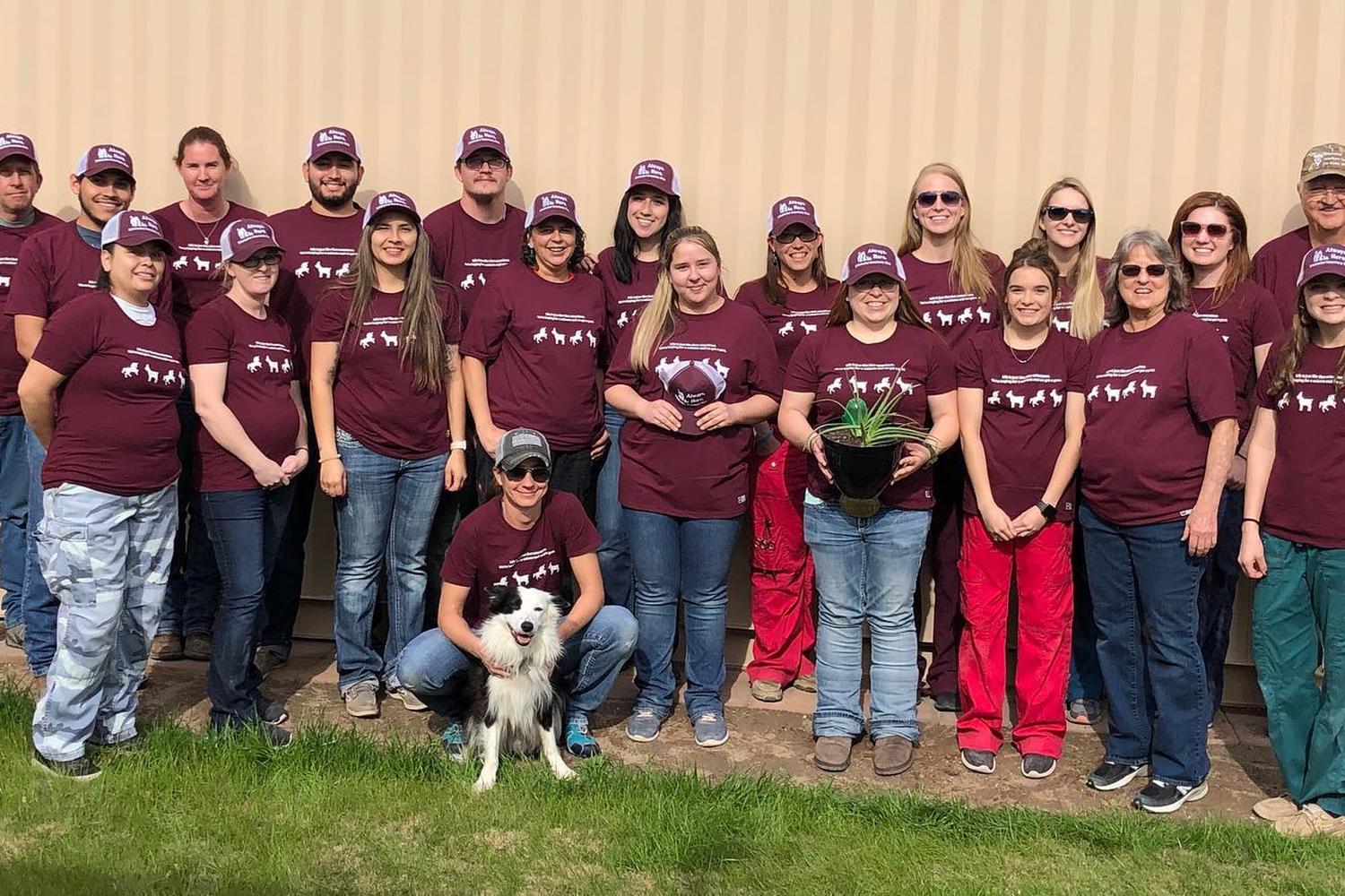 Schumacher Veterinary Clinic 1