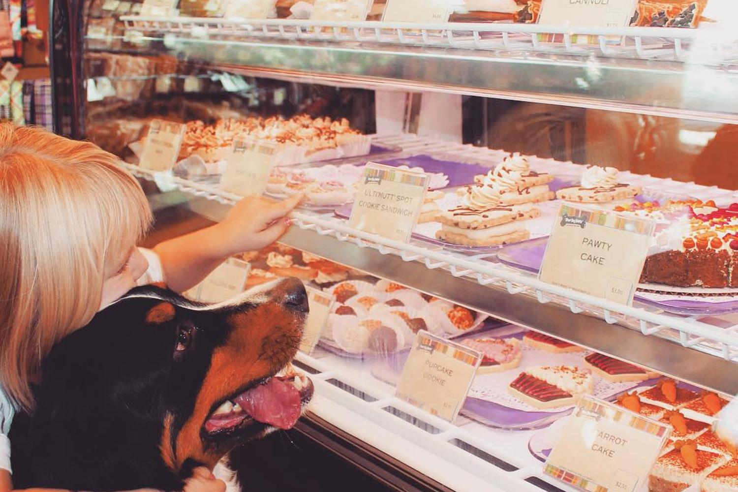 Three Dog Bakery Albuquerque 5