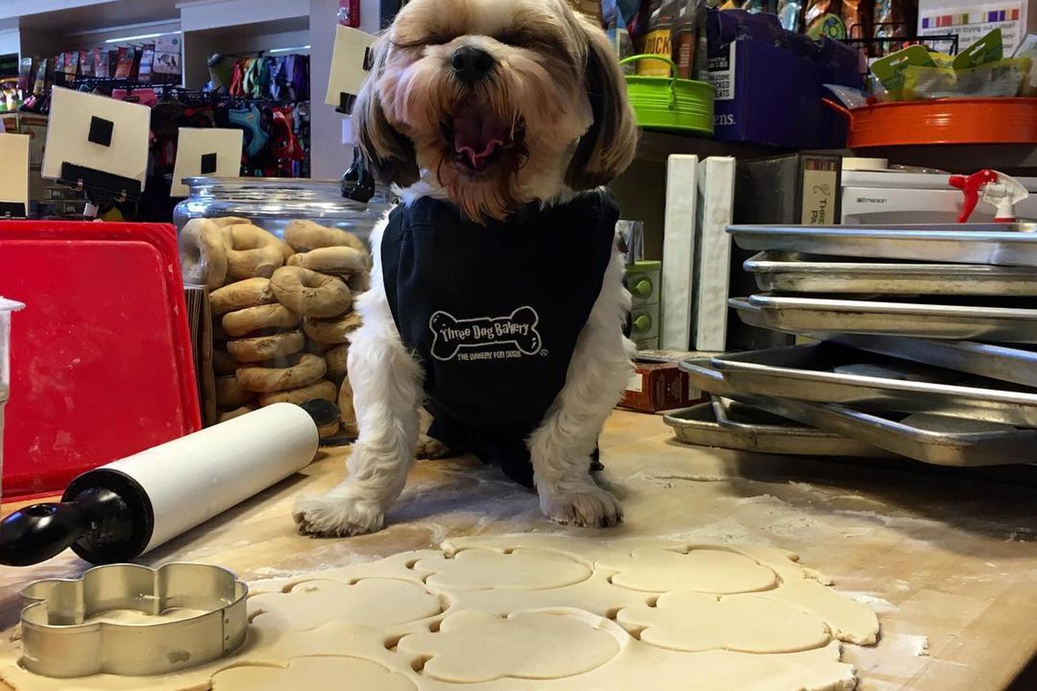 Three Dog Bakery Albuquerque 4
