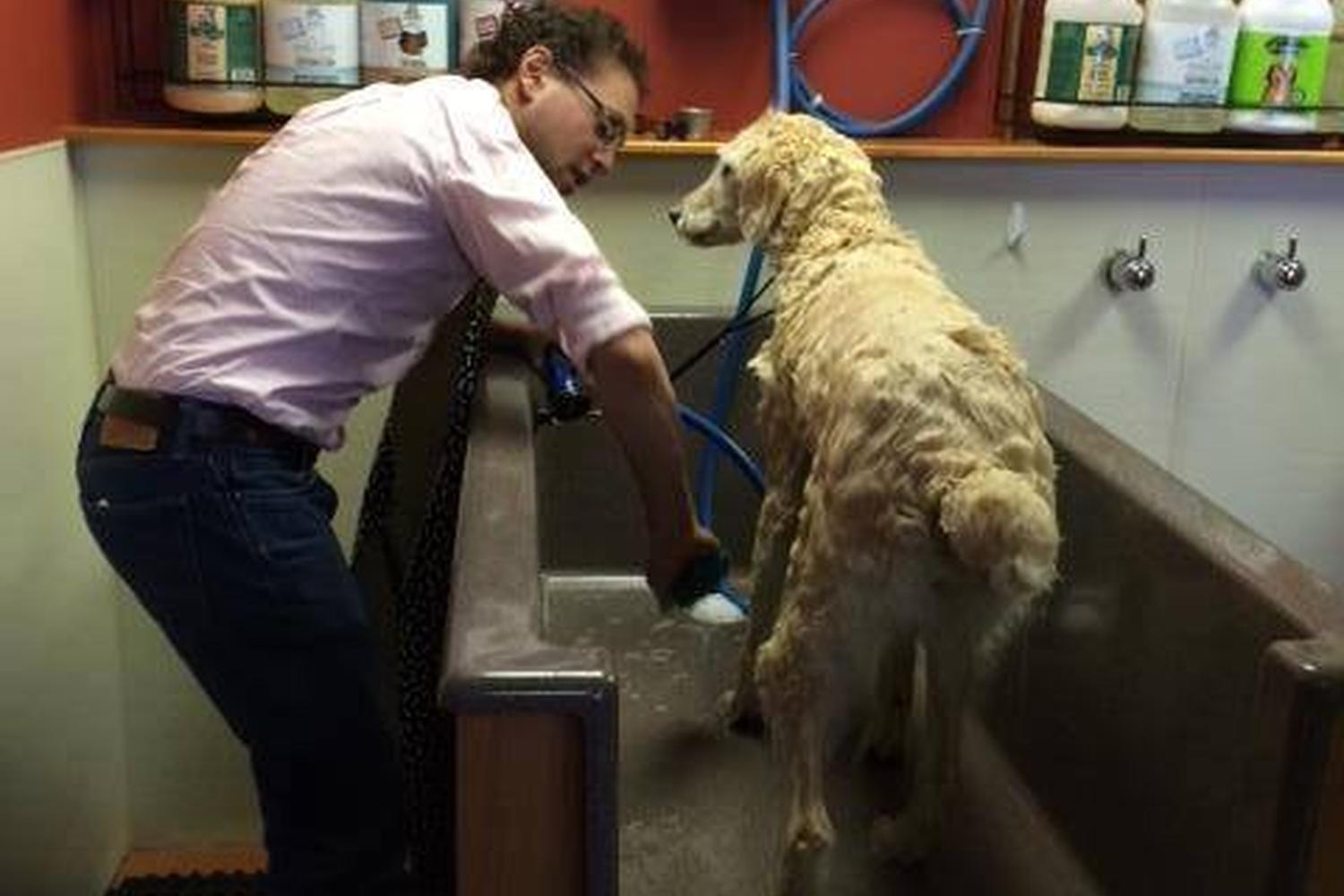 Amherst Dog Wash 4