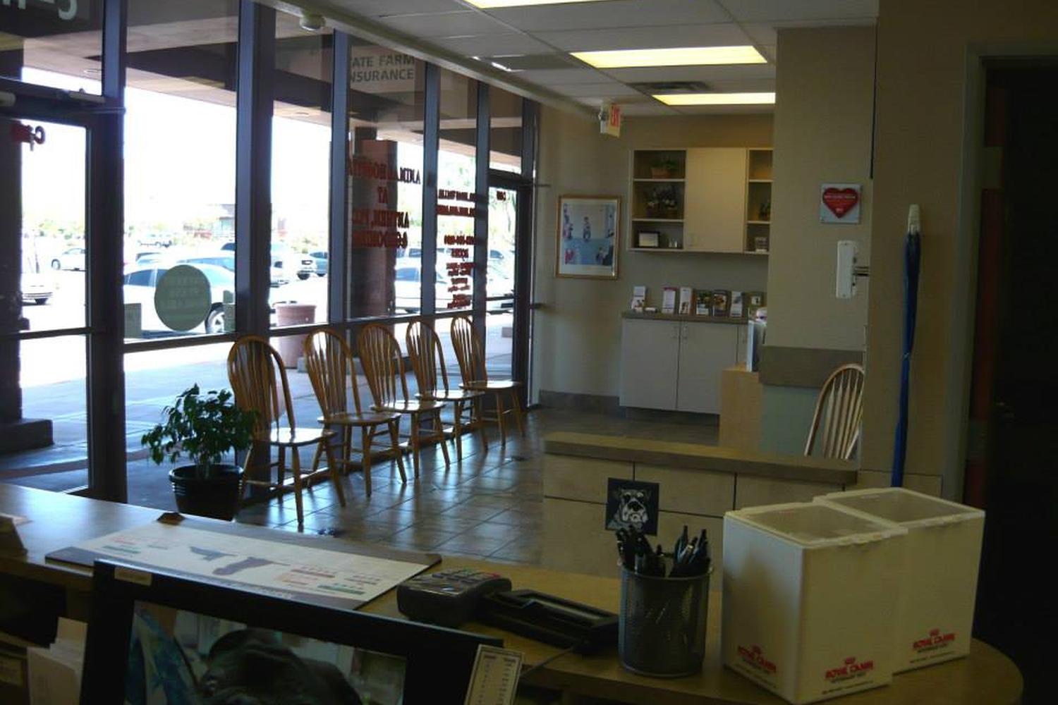 Anthem Arizona Pet Grooming 5
