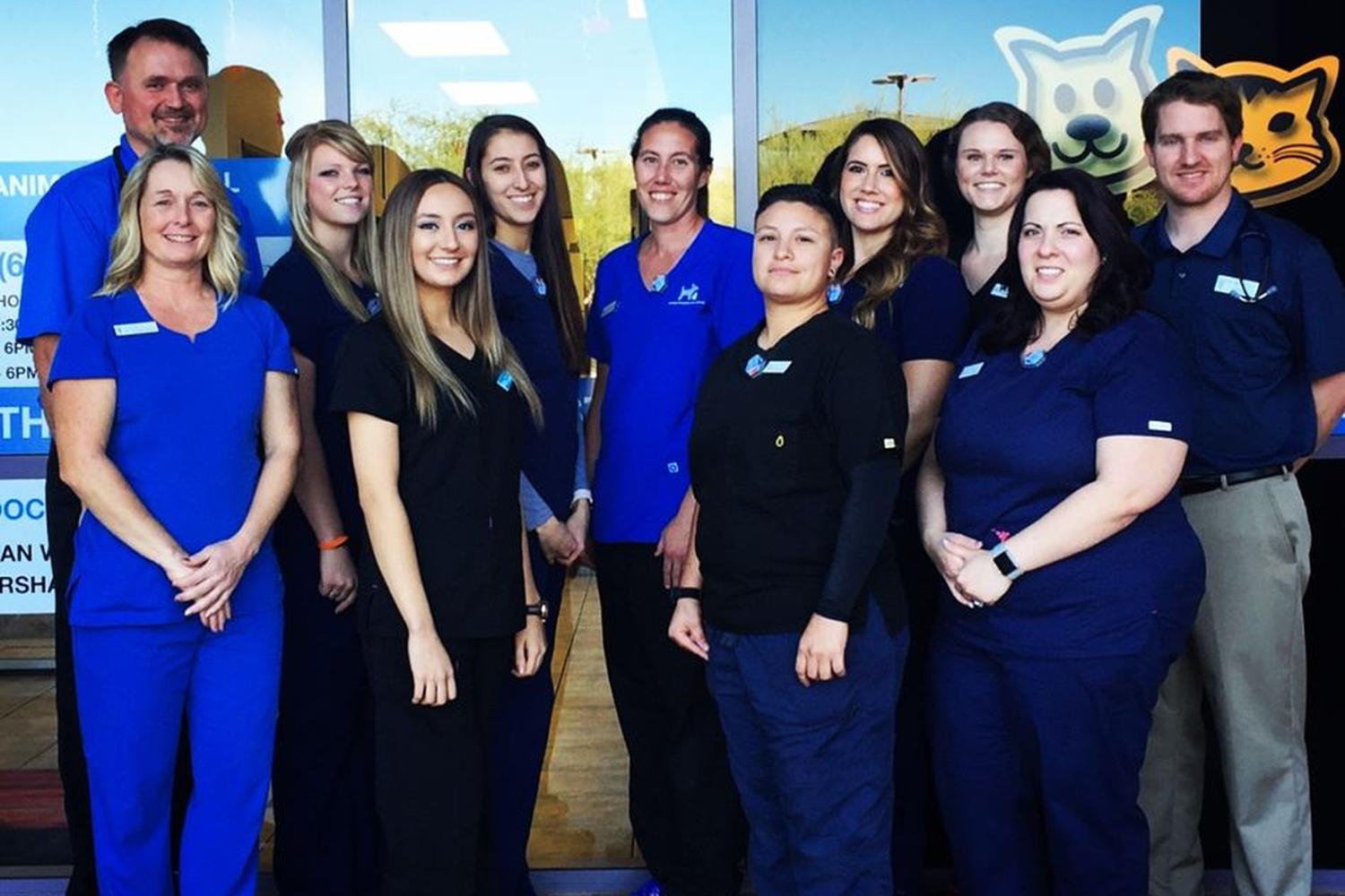Anthem Arizona Pet Grooming 0